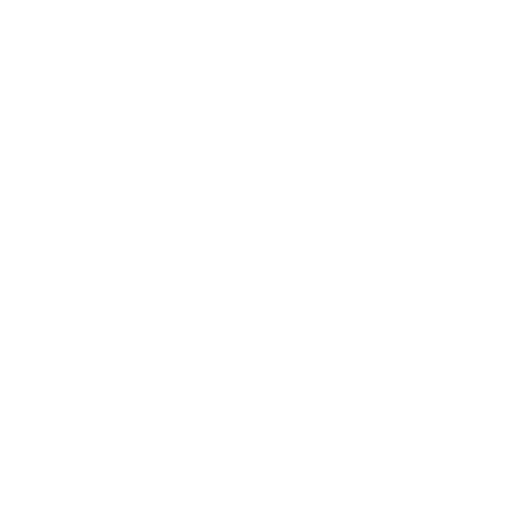 Transportation Icon